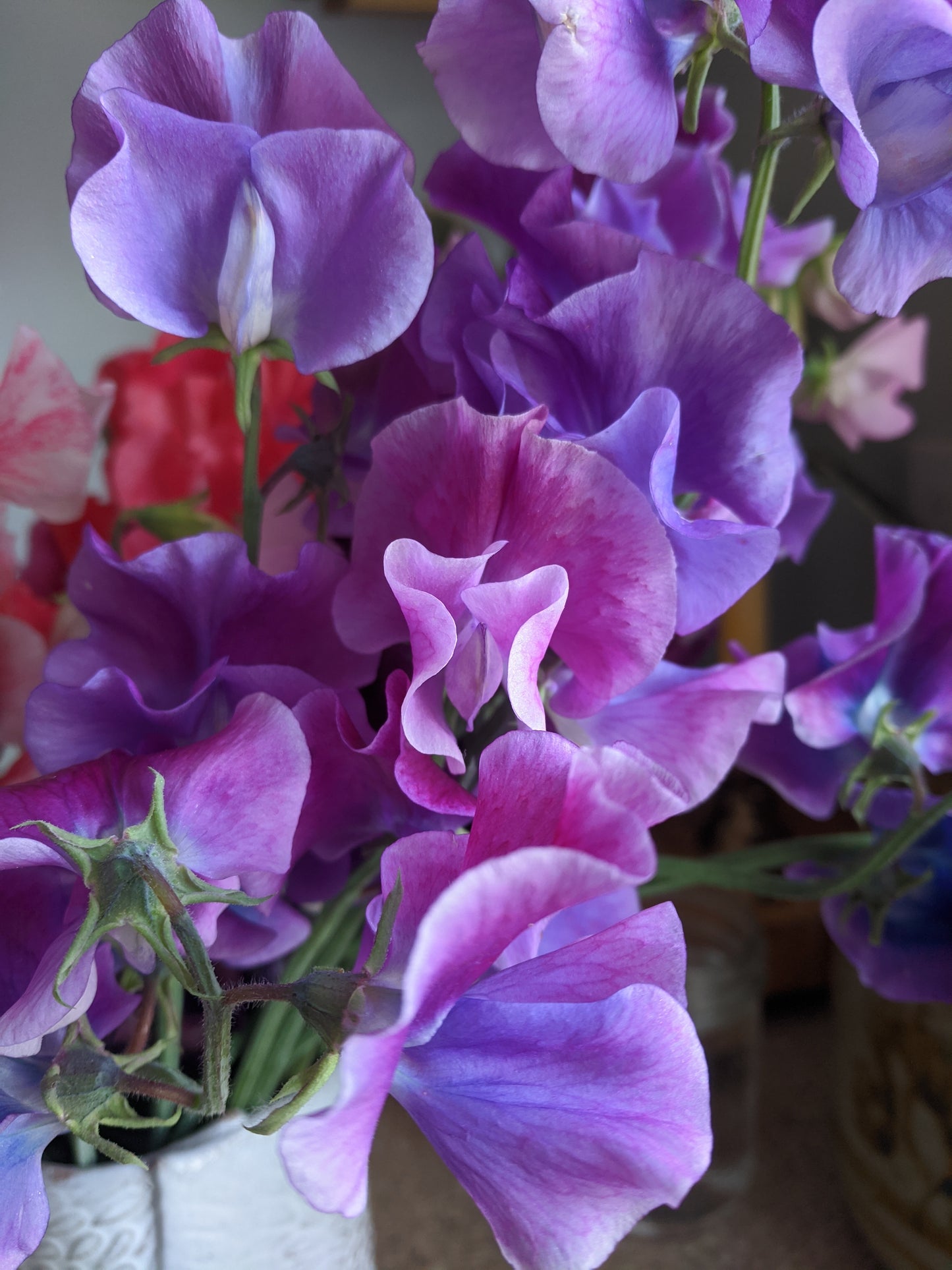 2025 Summer Flower CSA - 8 weeks of arrangements