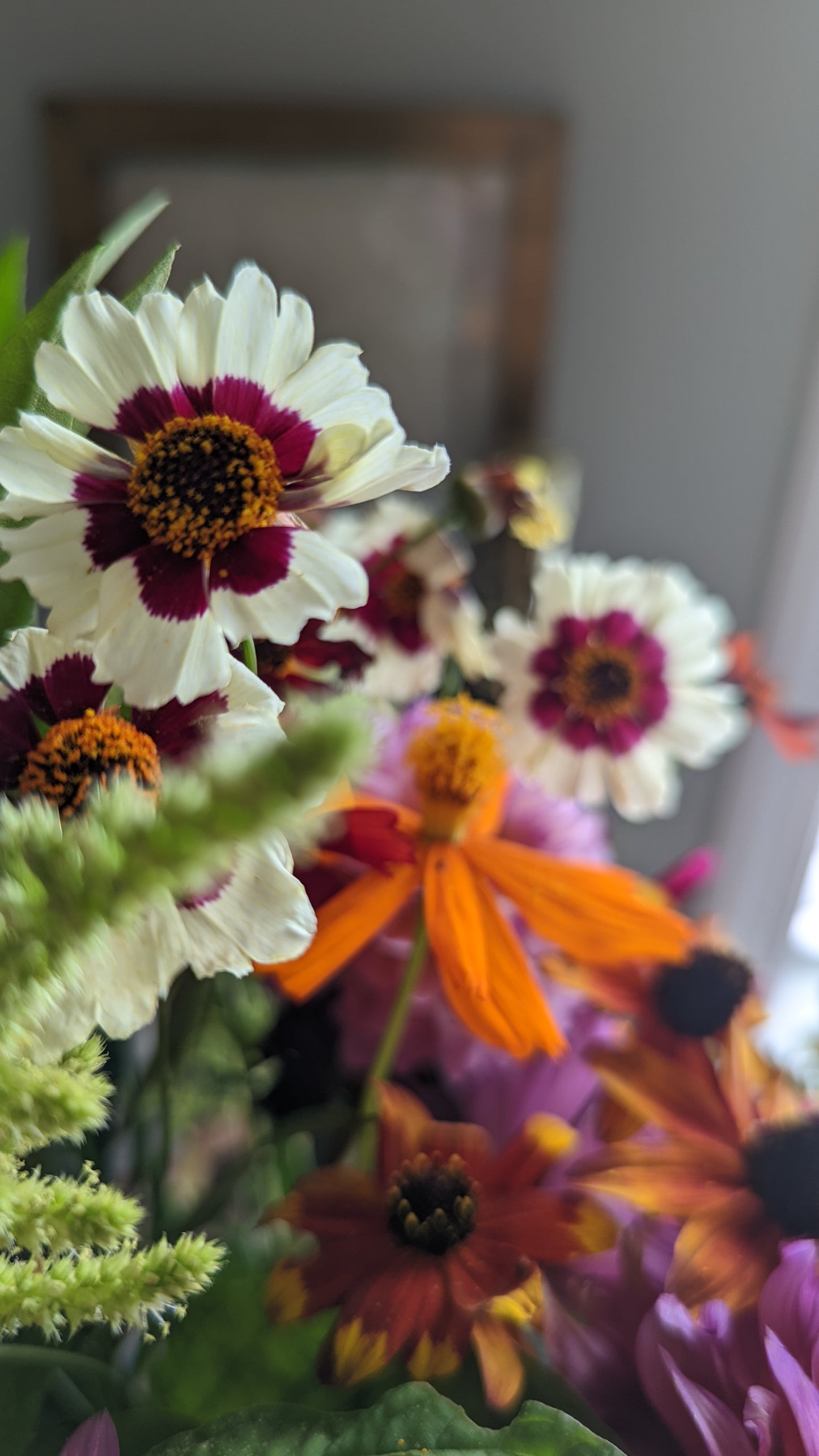 2025 Summer Flower CSA - 8 weeks of arrangements