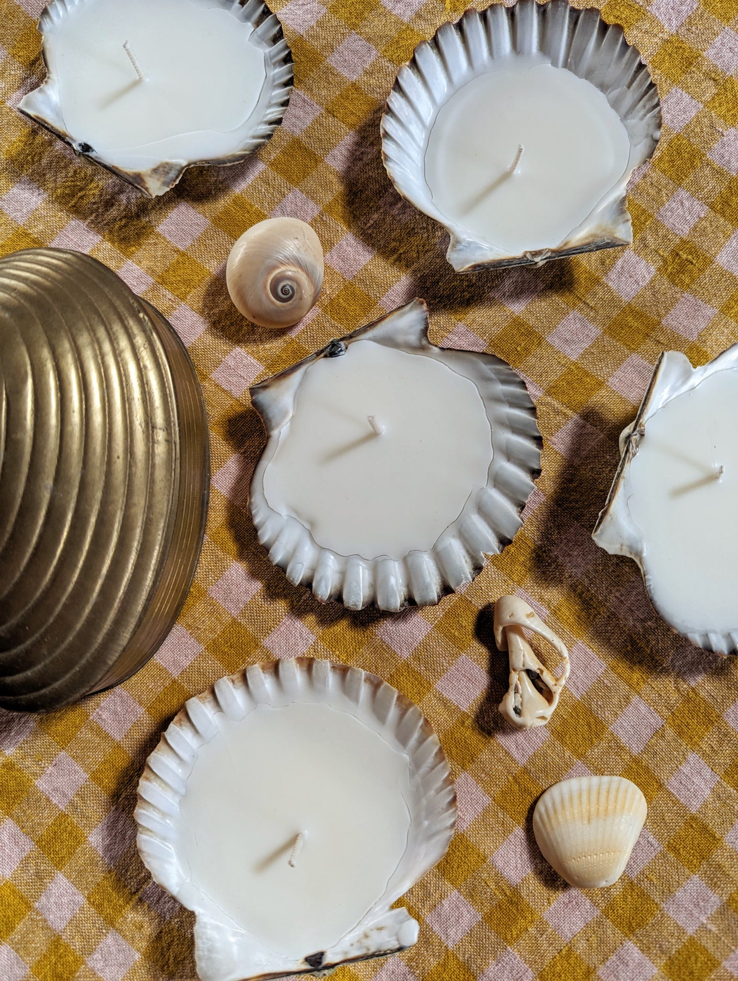 Scallop Seashell Candle
