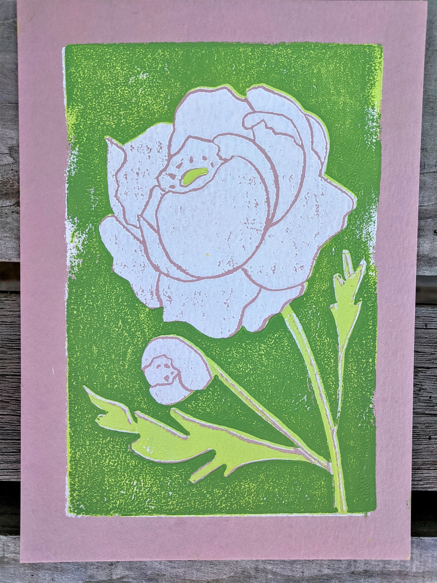 peony, 5x7