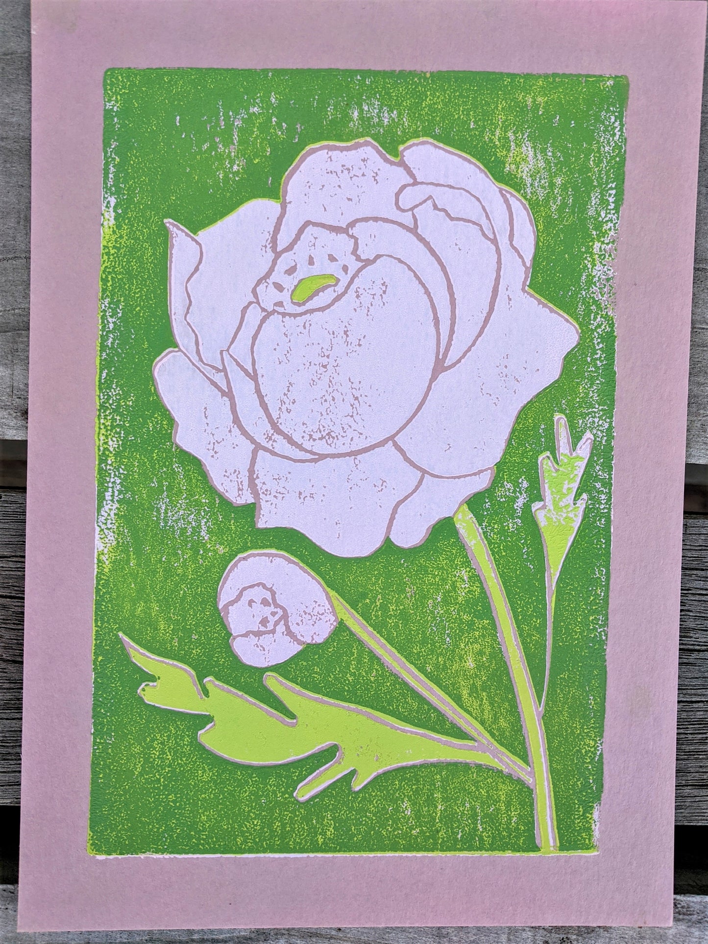 peony, 5x7