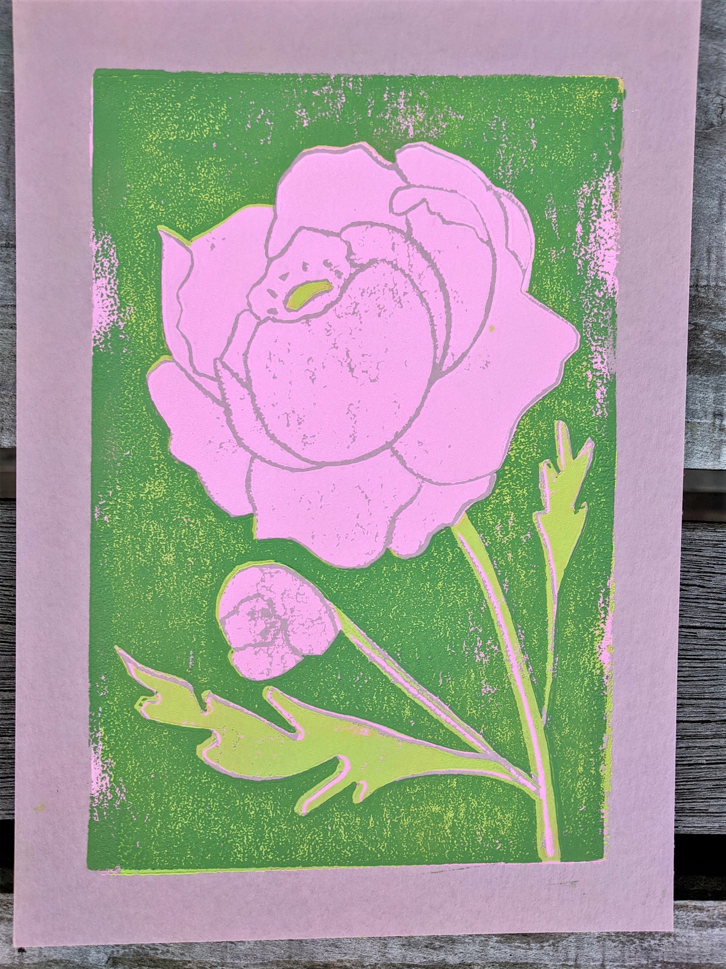 peony, 5x7