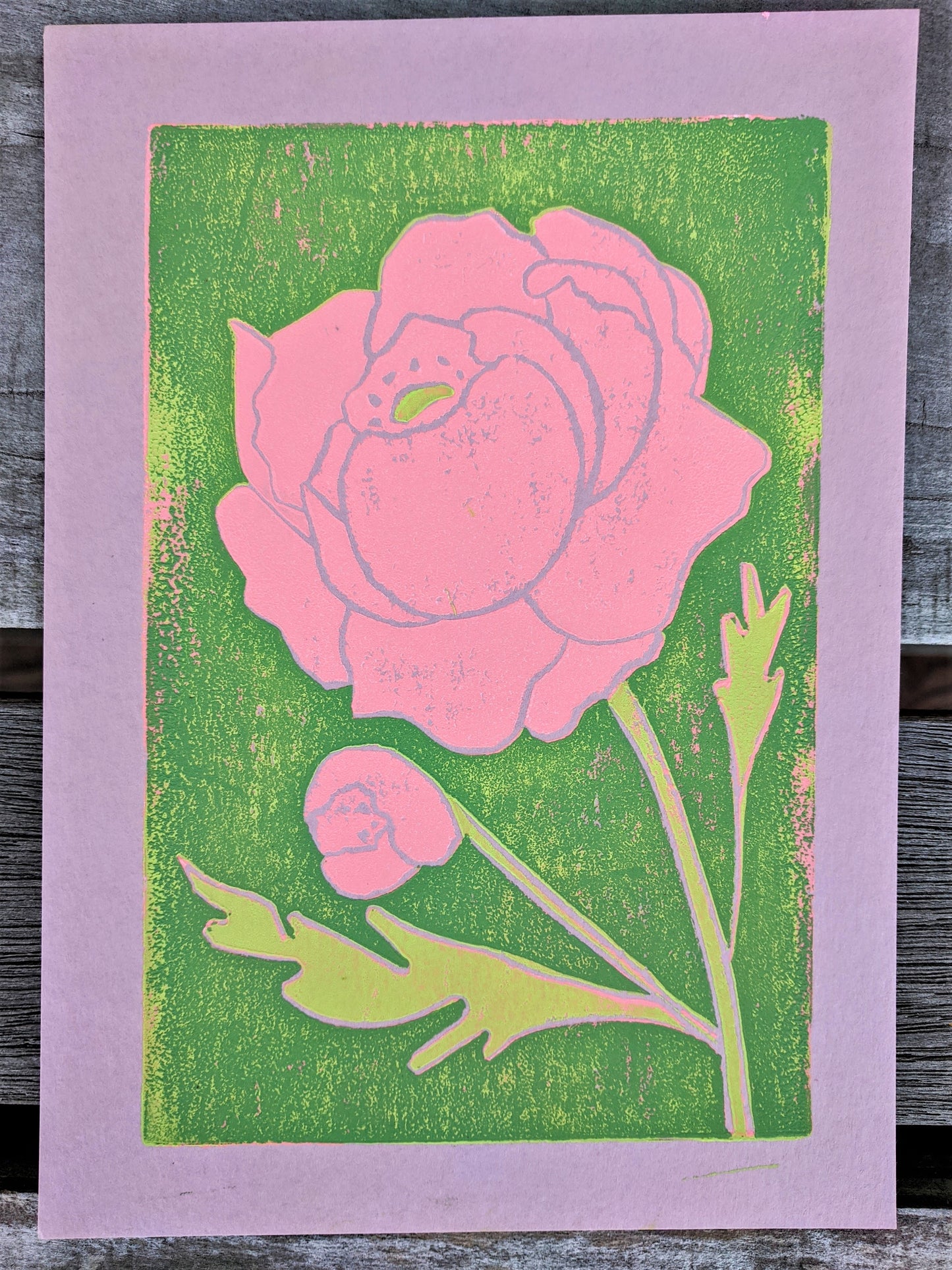 peony, 5x7