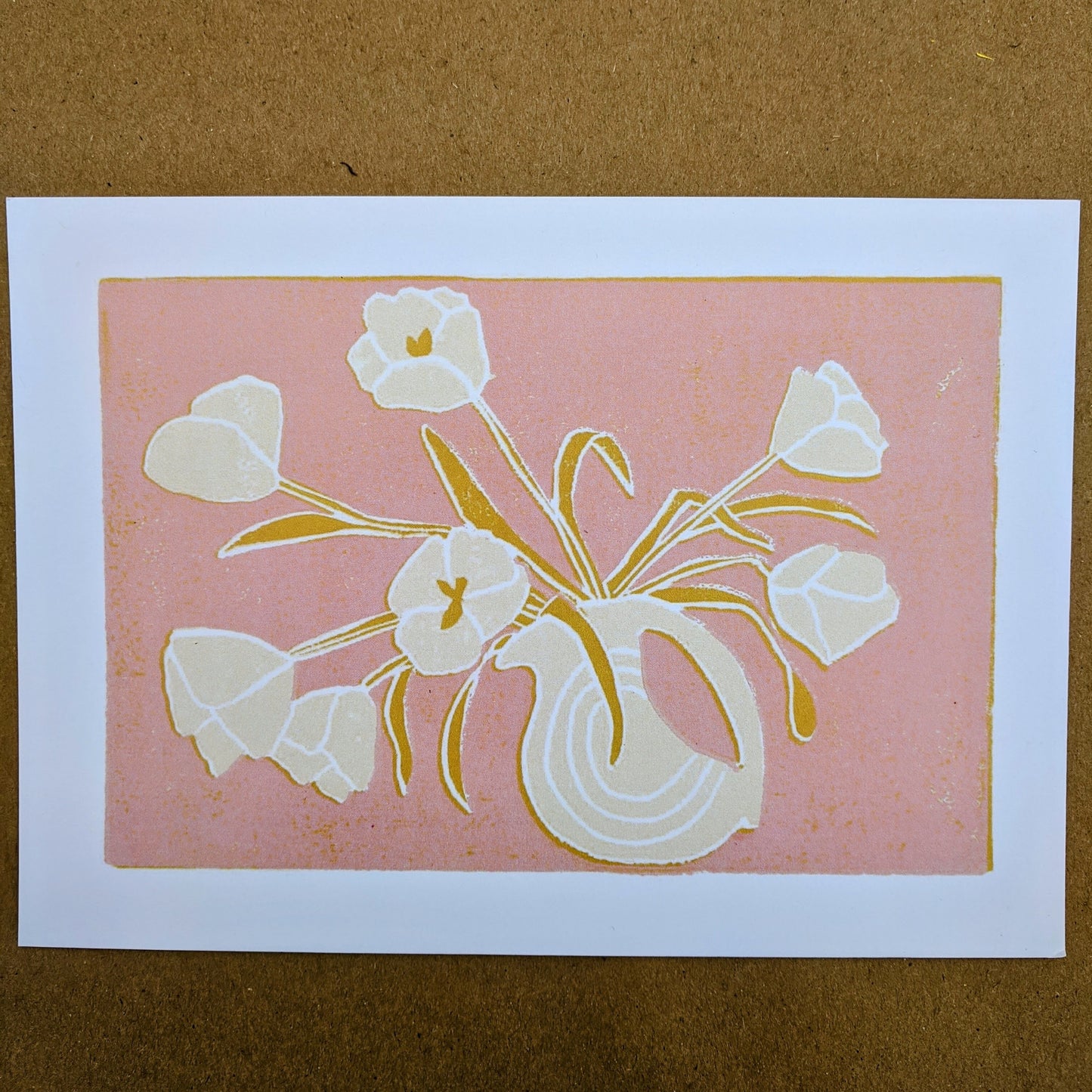 tulip on white, 5x7
