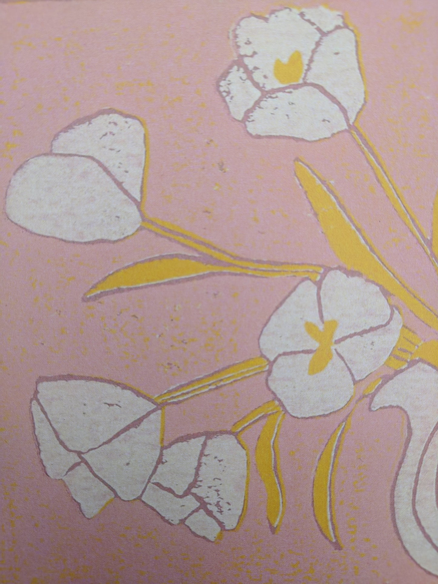 tulip on pink, 5x7