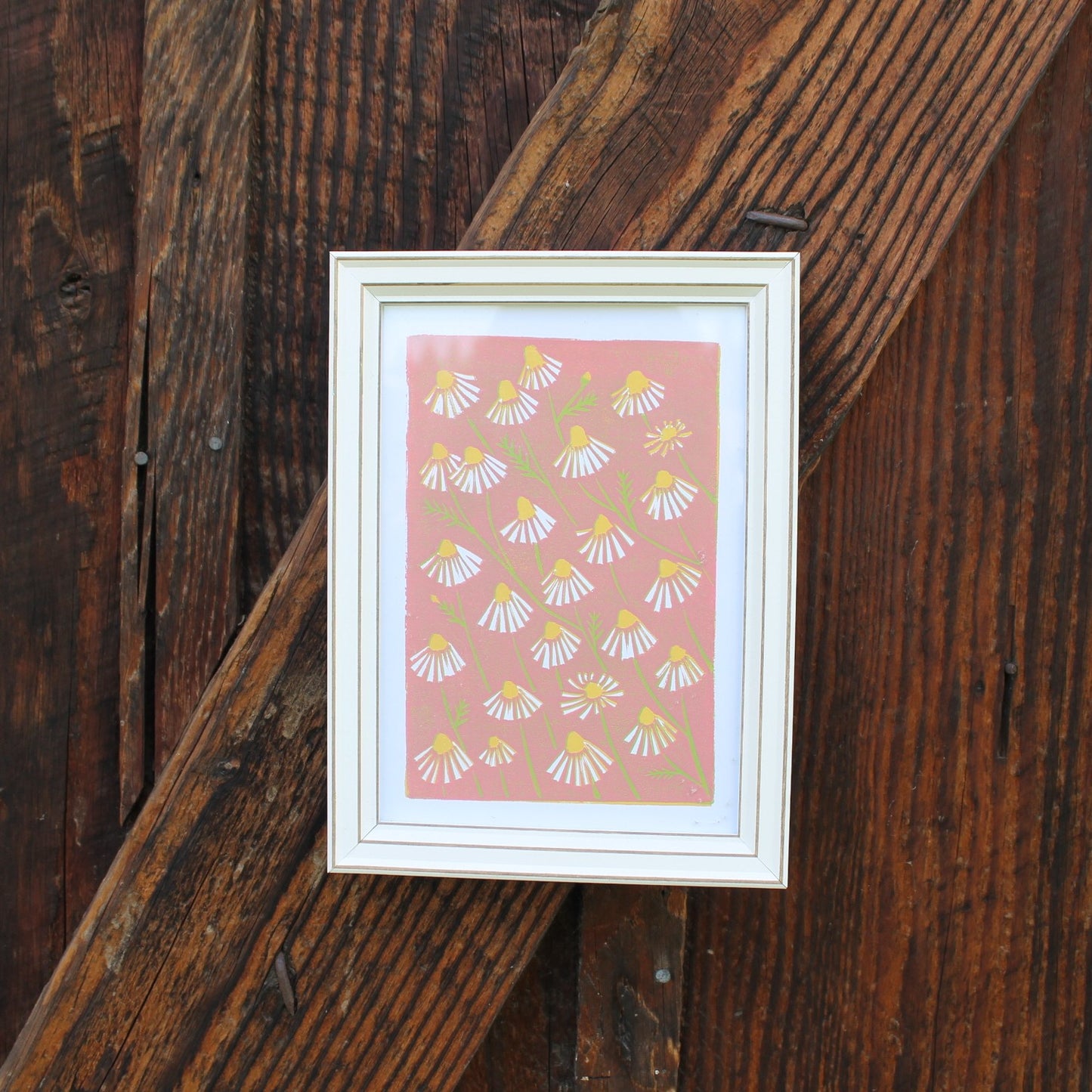 chamomile, pink 5x7