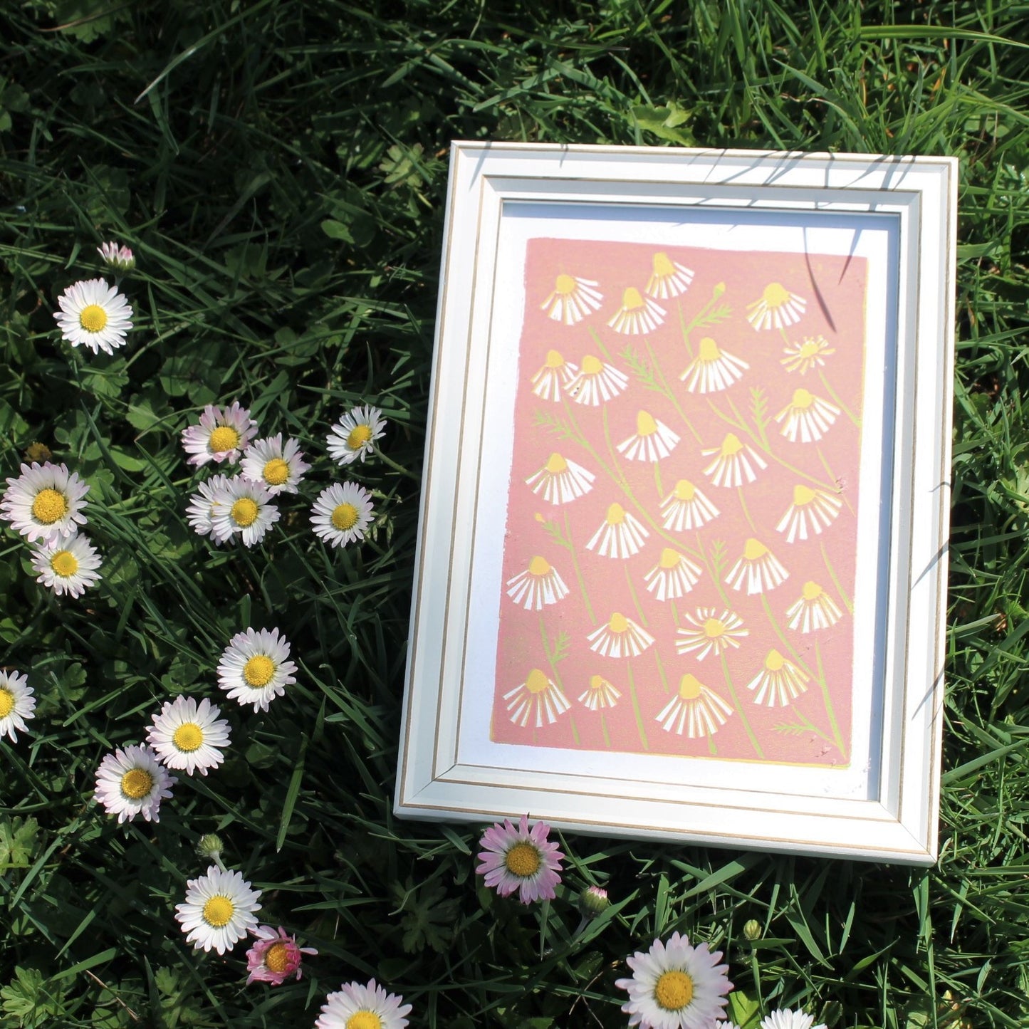 chamomile, pink 5x7