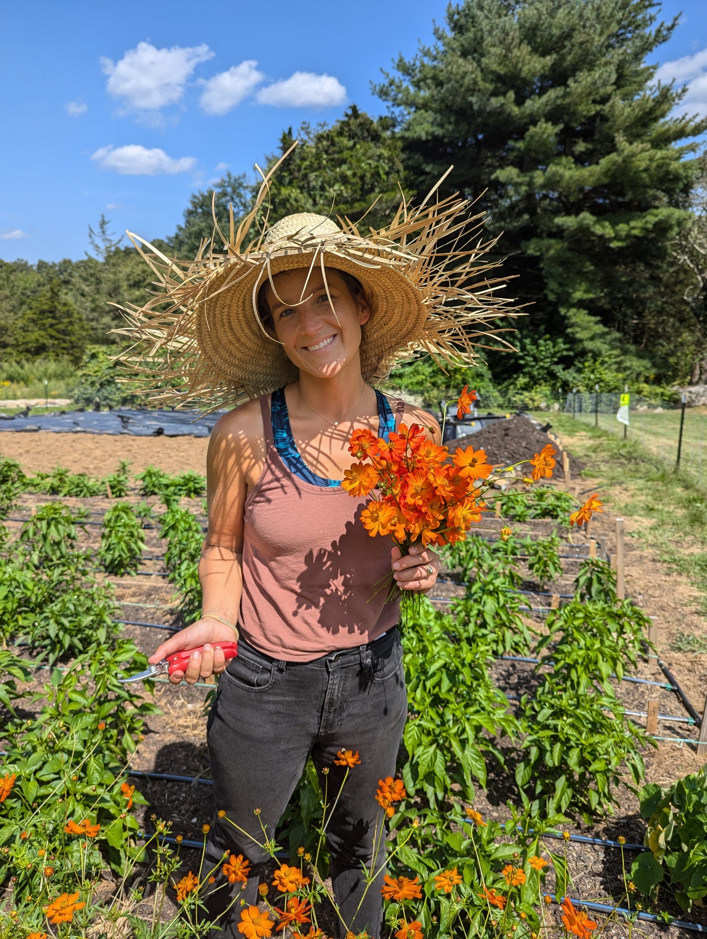 2026 Summer Flower CSA - 9 weeks of arrangements