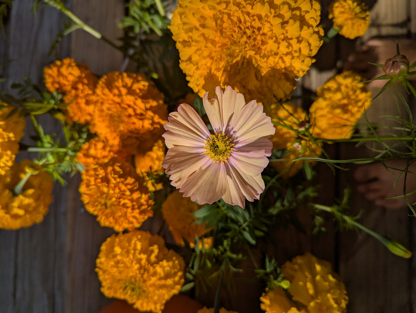 2026 Summer Flower CSA - 9 weeks of arrangements