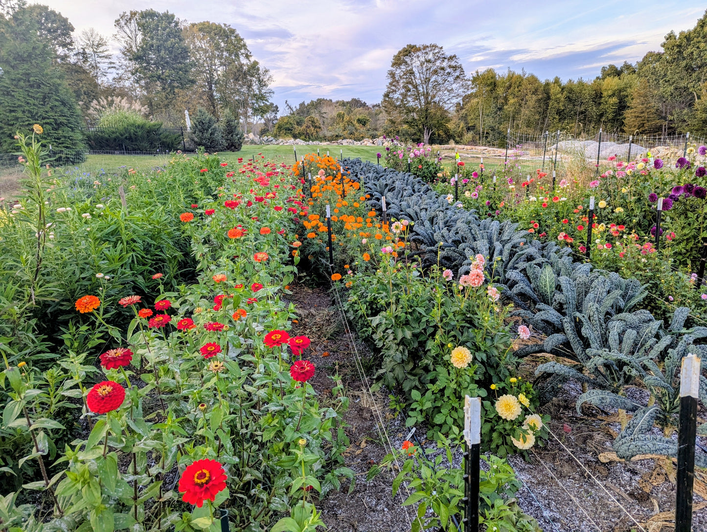 2026 Summer Flower CSA - 9 weeks of arrangements