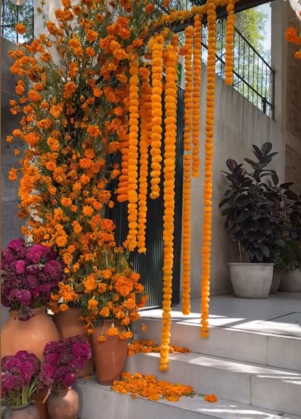 2   6FT marigold garlands
